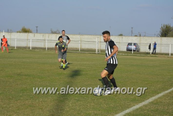 alexandriamou.gr_agkathiaaridaia11.11043