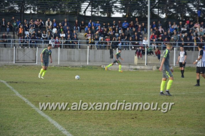 alexandriamou.gr_agkathiaaridaia11.11130