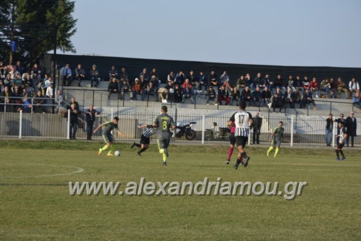 alexandriamou.gr_agkathiaaridaia11.11143