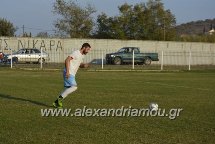 alexandriamou.gr_agkathiaaridaia11.11201