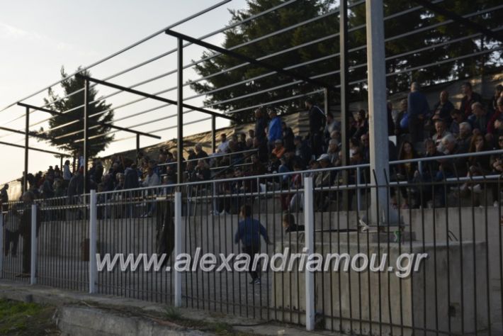 alexandriamou.gr_agkathiaaridaia11.11225