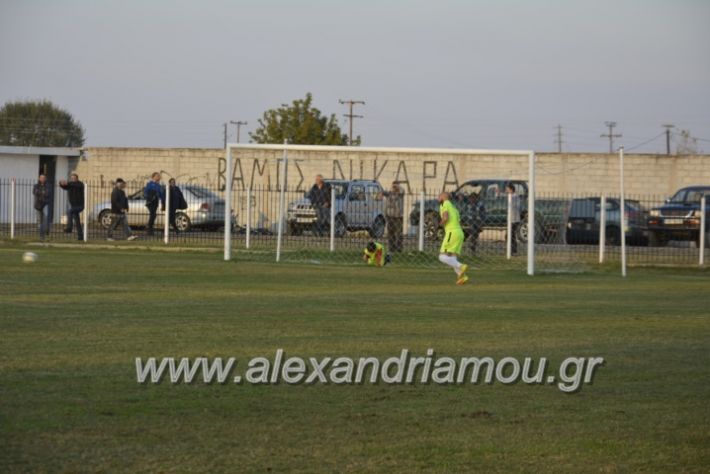 alexandriamou.gr_agkathiaaridaia11.11295