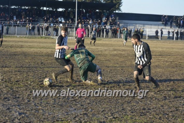 alexandriamou.agathiaasteras2019202