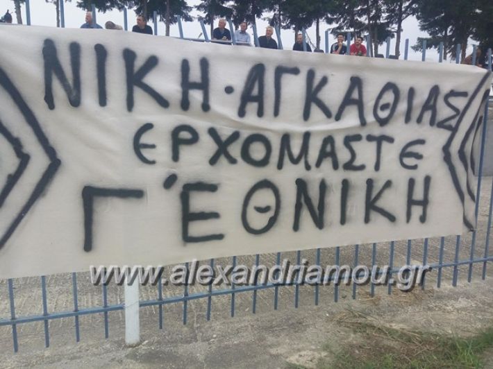 alexandriamou.gr_agkathiakupelo1836