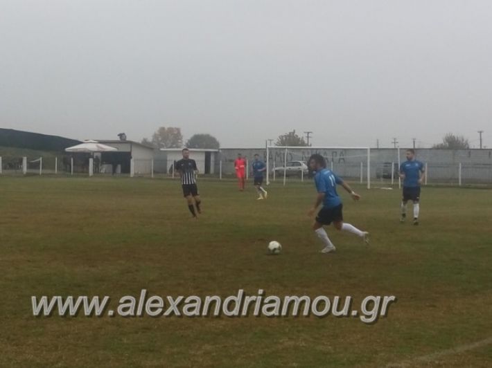 alexandriamou.gr_agkathiameliti25.11048