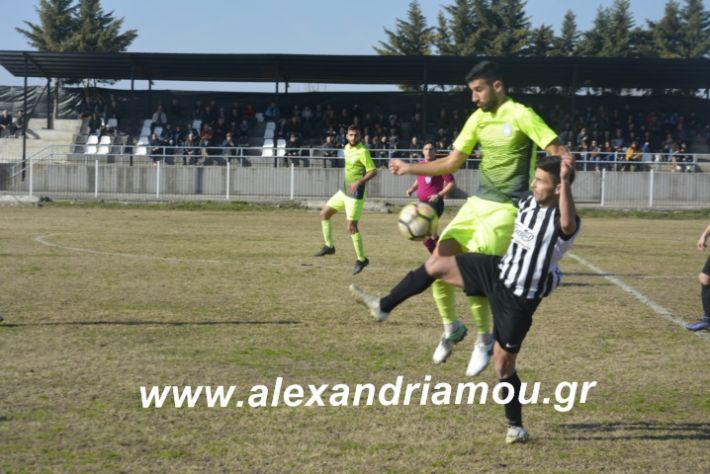 alexandriamou.agkathiatriglia2019044