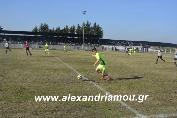 alexandriamou.agkathiatriglia2019099