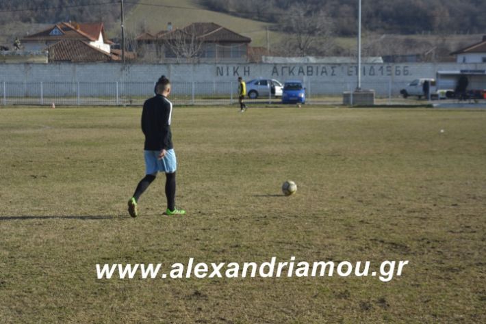 alexandriamou.agkathiatriglia2019138