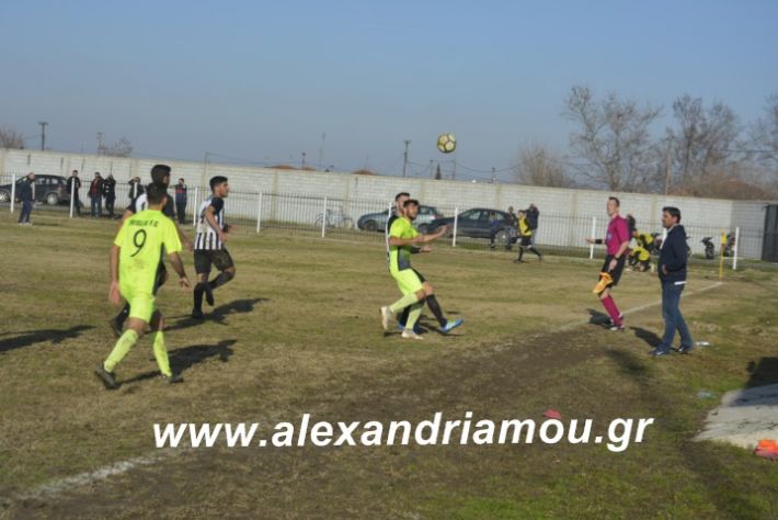 alexandriamou.agkathiatriglia2019172