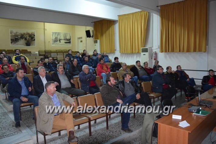 alexandriamou_agrote15.112.17006