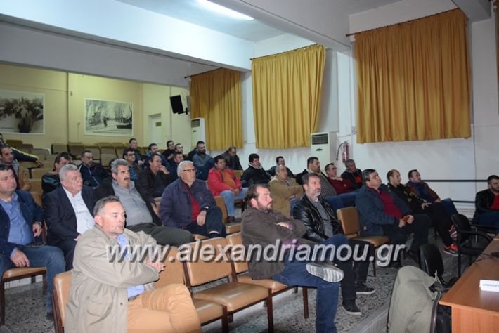 alexandriamou_agrote15.112.17008