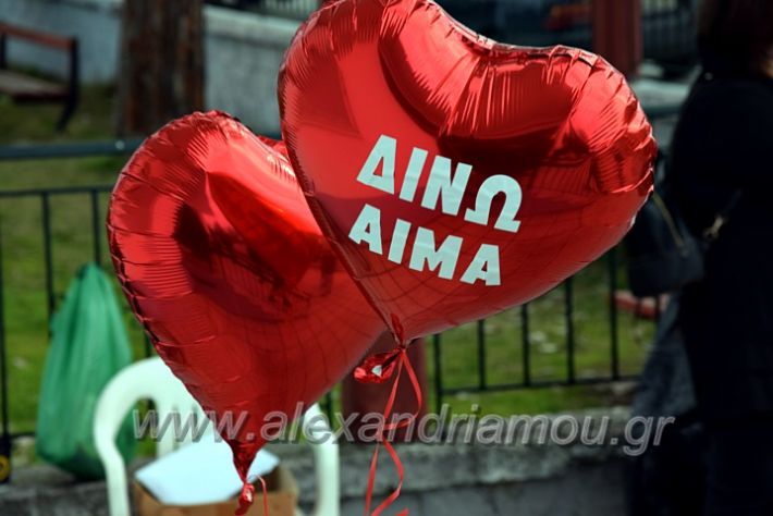 alexandriamou.gr_aimodosia288DSC_0404