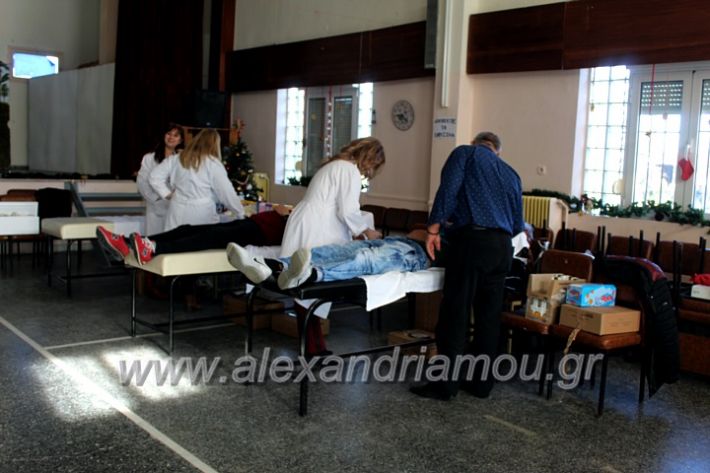 alexandriamou.gr_aimodosia2019nisiIMG_0397