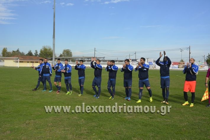 alexandreia-aridaia035