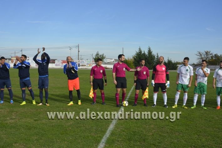 alexandreia-aridaia038
