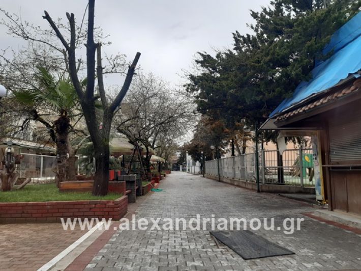 www.alexandriamou.gr_kor1320200325_112849