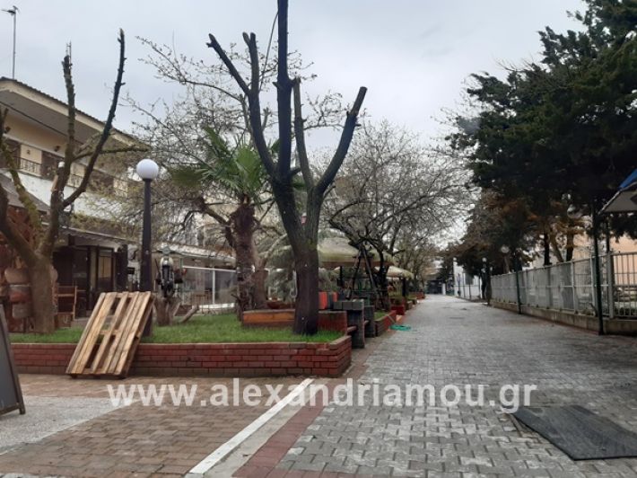 www.alexandriamou.gr_kor1320200325_112851