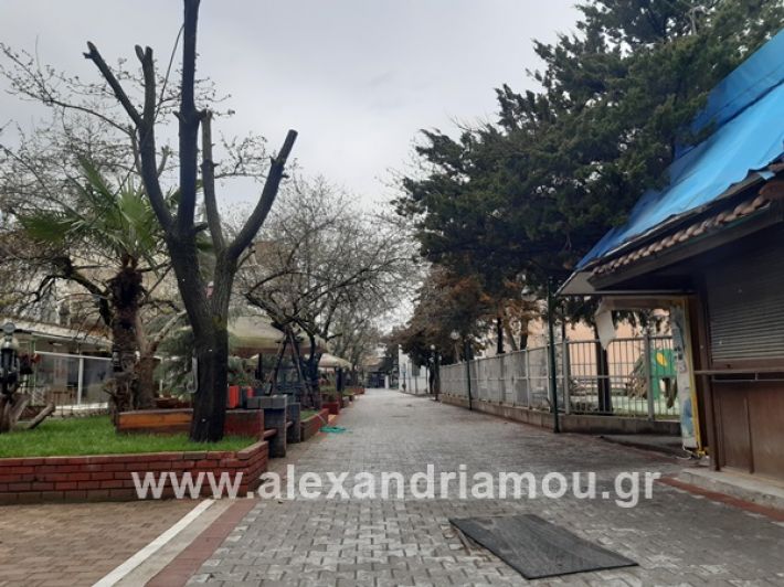 www.alexandriamou.gr_kor1320200325_112854