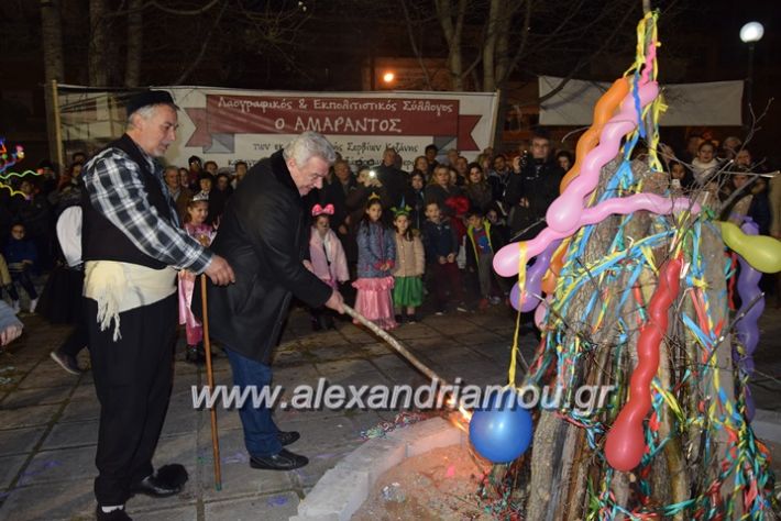 alexandriamou.gr_amarantos2018apokries026