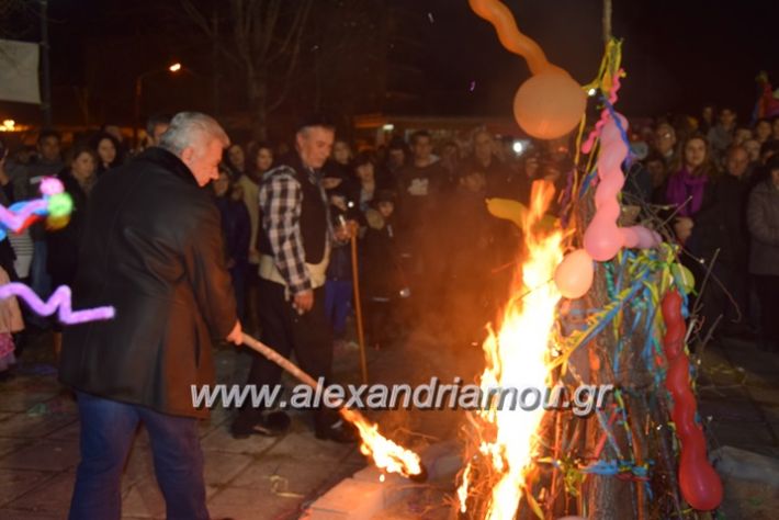 alexandriamou.gr_amarantos2018apokries029