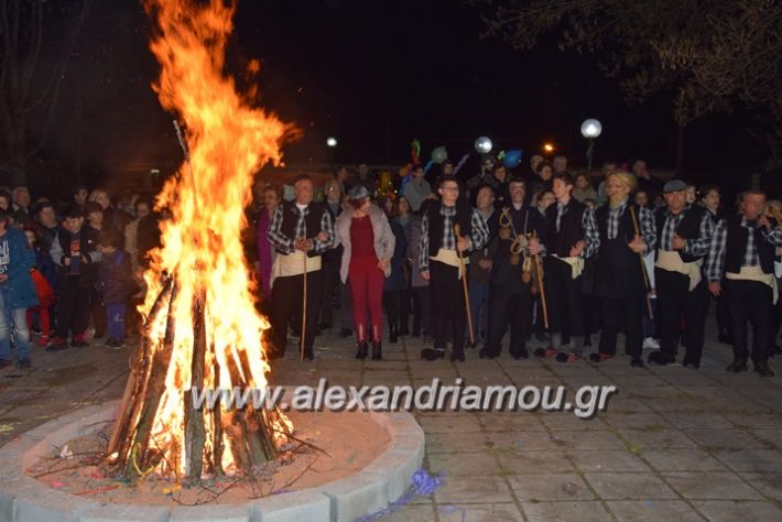 alexandriamou.gr_amarantos2018apokries086