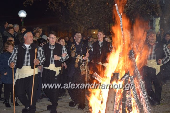 alexandriamou.gr_amarantos2018apokries097