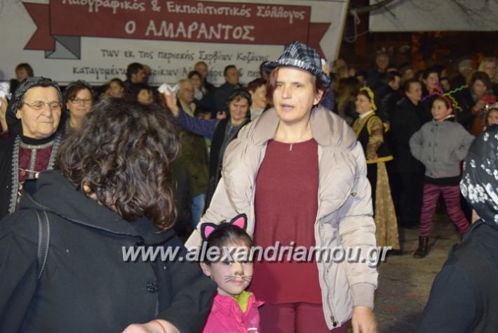 alexandriamou.gr_amarantos2018apokries109