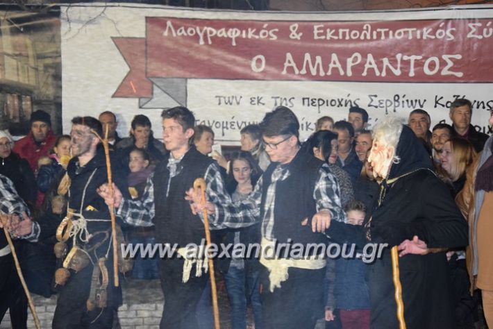 alexandriamou.gr_amarantos2018apokries150