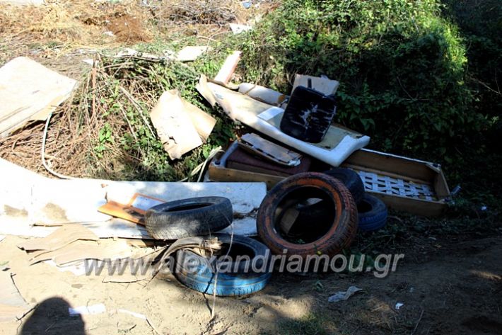 alexandriamou.gr_skoupidiaamfitheatroIMG_9924