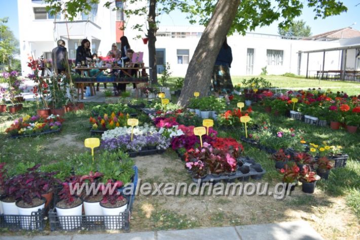 alexandriamou_paidiaanoiksisanthoekhsi2019003