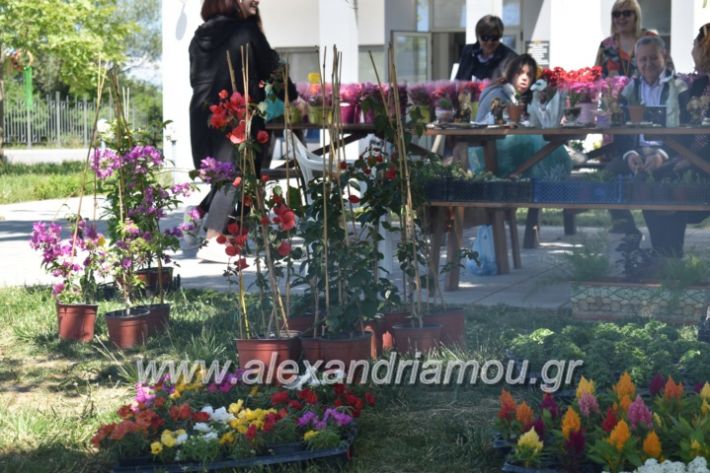 alexandriamou_paidiaanoiksisanthoekhsi2019005