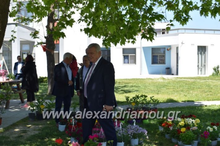 alexandriamou_paidiaanoiksisanthoekhsi2019047