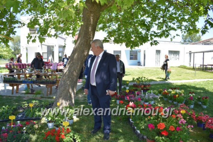 alexandriamou_paidiaanoiksisanthoekhsi2019048