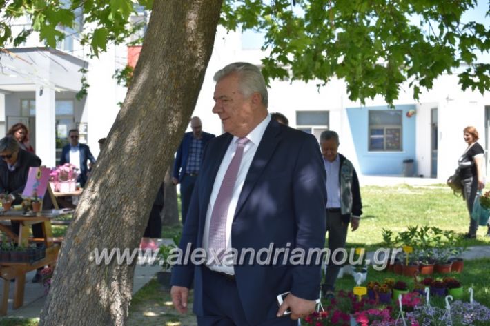 alexandriamou_paidiaanoiksisanthoekhsi2019049