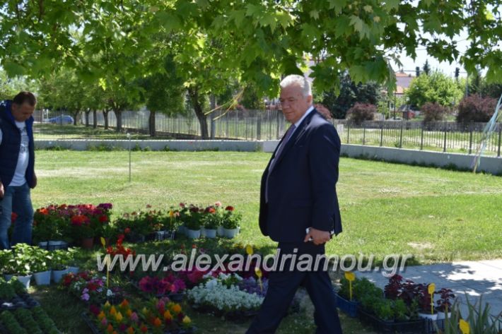 alexandriamou_paidiaanoiksisanthoekhsi2019050