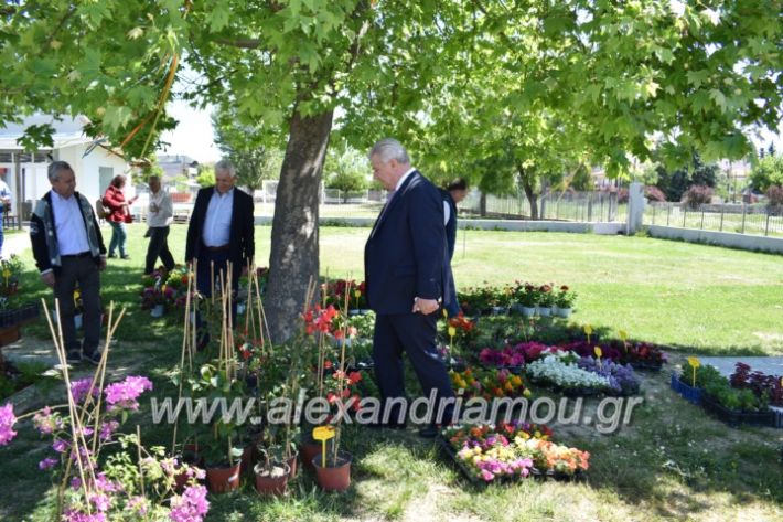 alexandriamou_paidiaanoiksisanthoekhsi2019051