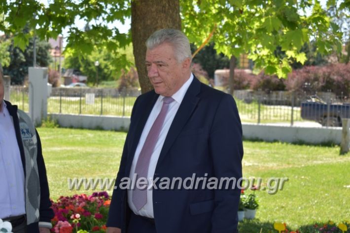 alexandriamou_paidiaanoiksisanthoekhsi2019053