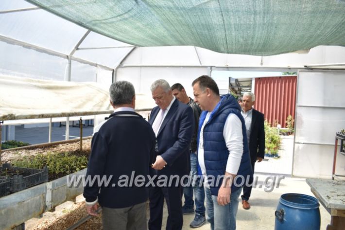 alexandriamou_paidiaanoiksisanthoekhsi2019079