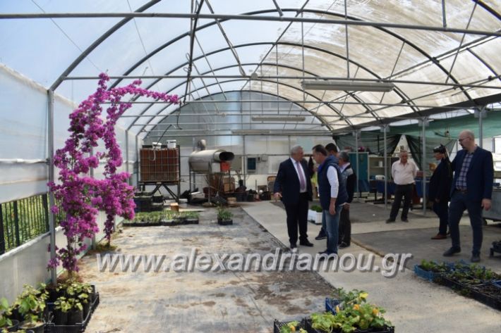 alexandriamou_paidiaanoiksisanthoekhsi2019081