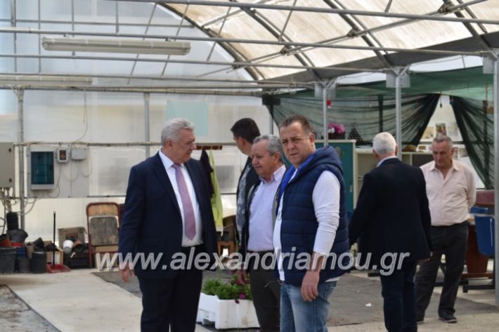 alexandriamou_paidiaanoiksisanthoekhsi2019082