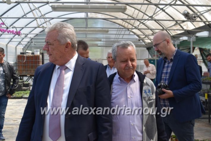 alexandriamou_paidiaanoiksisanthoekhsi2019084