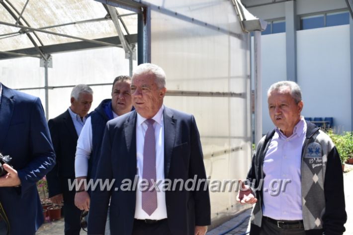 alexandriamou_paidiaanoiksisanthoekhsi2019085