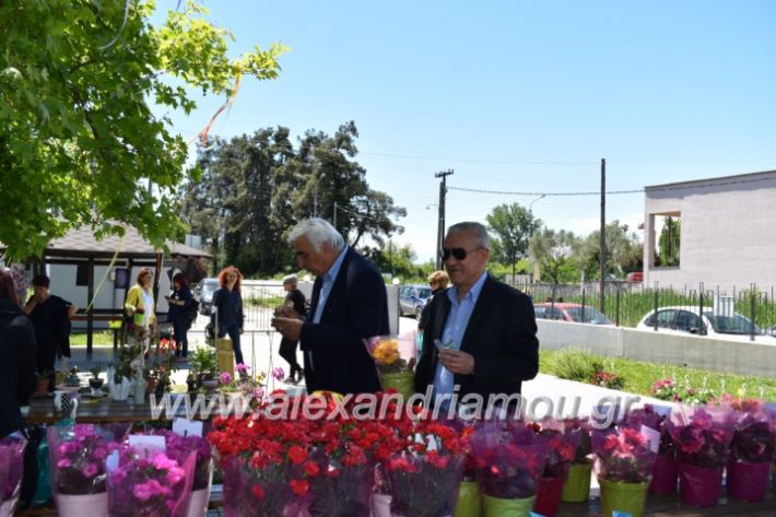 alexandriamou_paidiaanoiksisanthoekhsi2019094