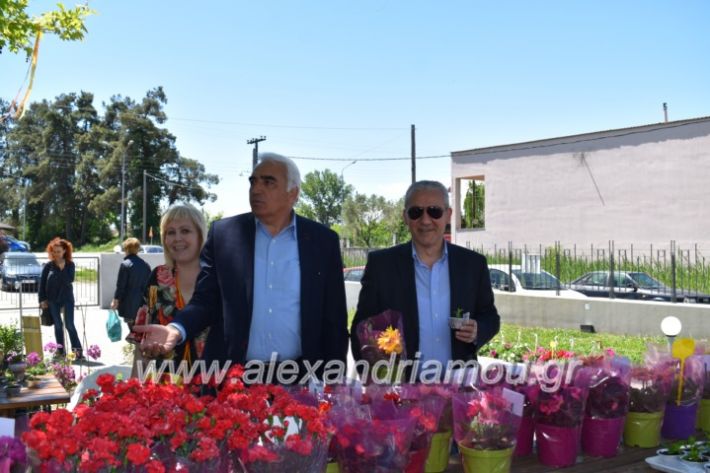 alexandriamou_paidiaanoiksisanthoekhsi2019096