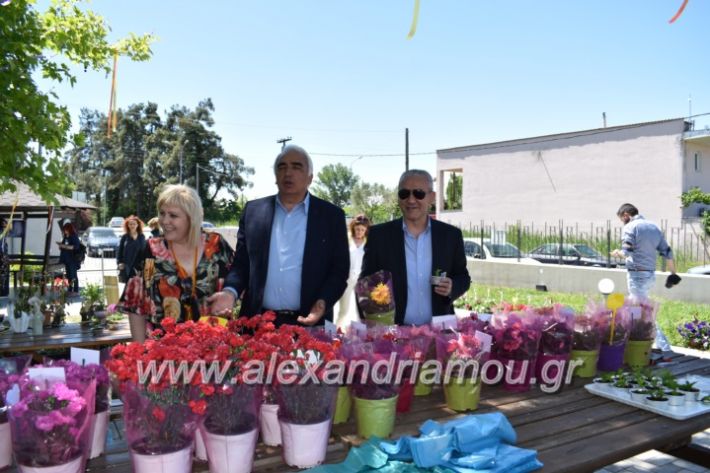 alexandriamou_paidiaanoiksisanthoekhsi2019097