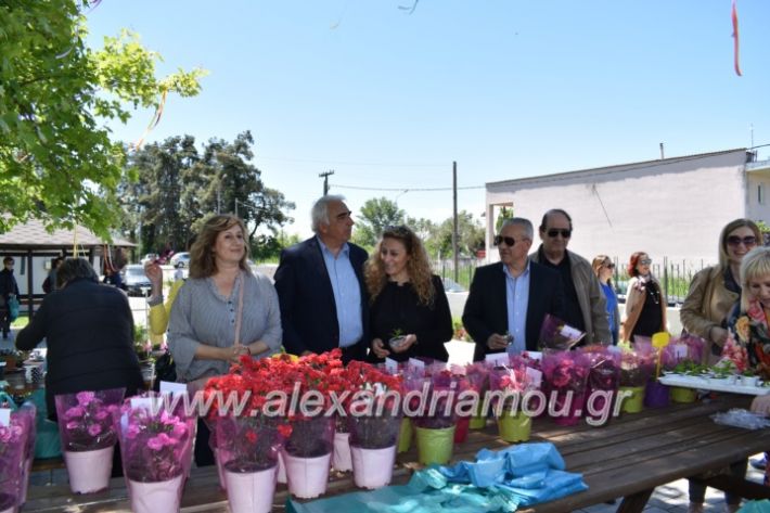 alexandriamou_paidiaanoiksisanthoekhsi2019098