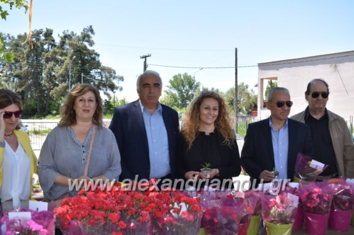 alexandriamou_paidiaanoiksisanthoekhsi2019099