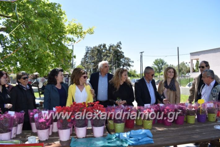 alexandriamou_paidiaanoiksisanthoekhsi2019100