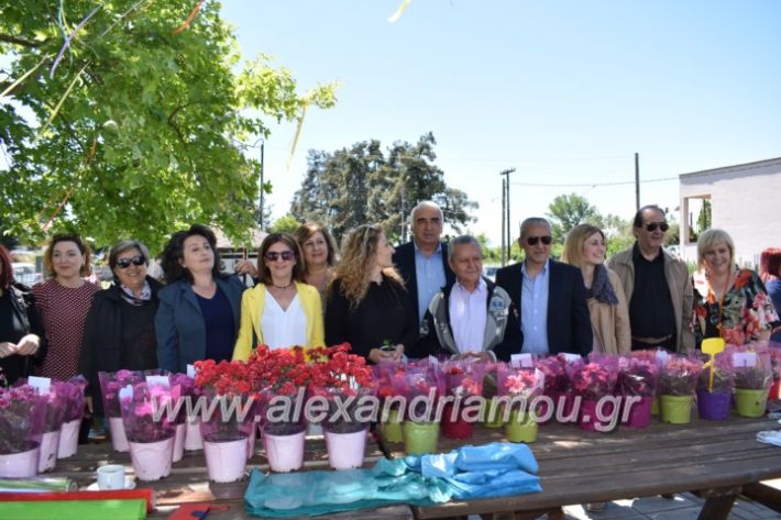 alexandriamou_paidiaanoiksisanthoekhsi2019103