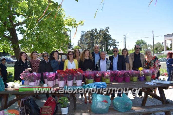 alexandriamou_paidiaanoiksisanthoekhsi2019104